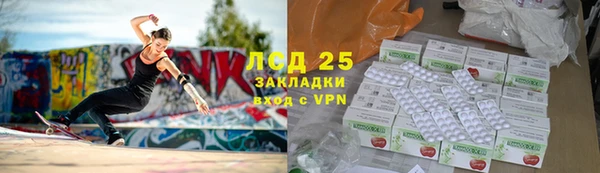 эйфоретик Майский