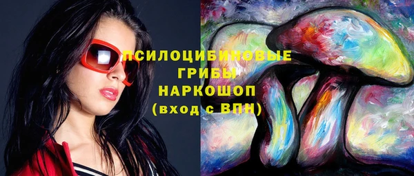 эйфоретик Майский