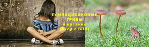эйфоретик Майский