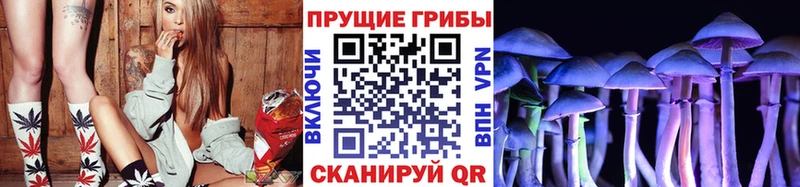 Псилоцибиновые грибы мицелий  Тайшет 