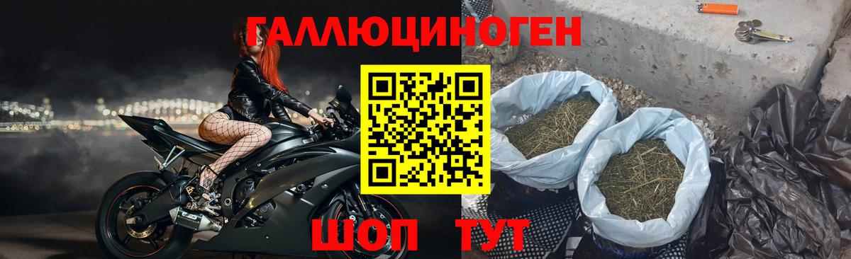 Псилоцибиновые грибы Cubensis Тайшет