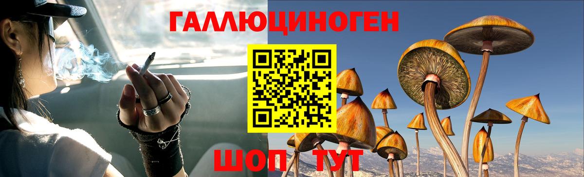 Тайшет  Галлюциногенные грибы Magic Shrooms  Псилоцибиновые грибы мухоморы  Вход с VPN 