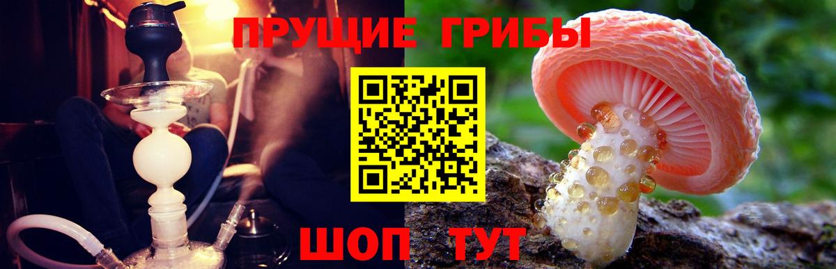 Галлюциногенные грибы Magic Shrooms  Тайшет  Псилоцибиновые грибы мицелий 